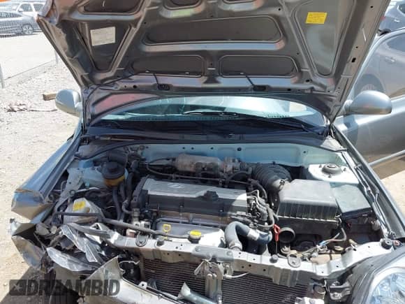 2005 Hyundai Accent GLS z VIN KMHCG45C55U608336, wystawiony jako IAAI lot #42743218 z przebiegiem 221 254 mil mil oraz . Historia ofert i sprzedaży dostępna na DreamBid. Obrazek 10.