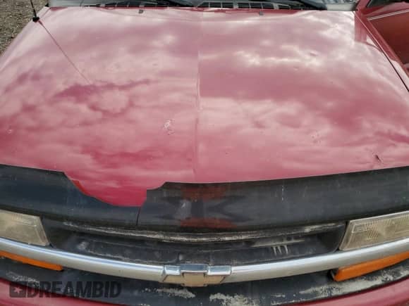 2000 Chevrolet S-10 LS with VIN 1GCCS1950Y8250959, listed as a Copart auction lot 71342824 with Not provided miles and Salvage title. Bid and sale history available at DreamBid. Image 11.