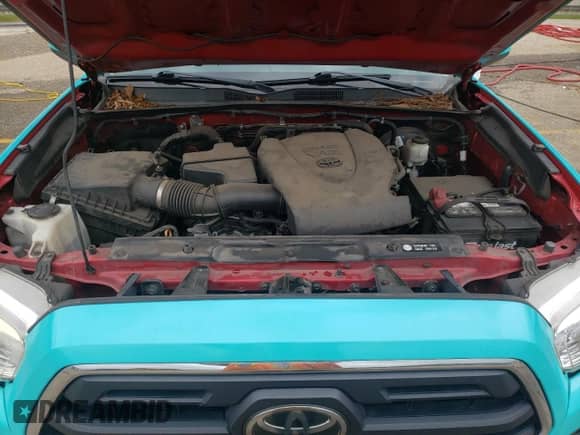 2019 Toyota Tacoma SR5 with VIN 3TMAZ5CN5KM093676, listed as a Copart auction lot 49080554 with 112,824 mi miles and Salvage title. Bid and sale history available at DreamBid. Image 11.
