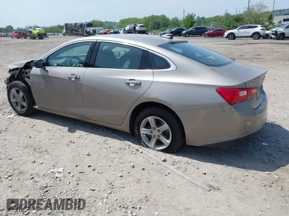 2024 Chevrolet Malibu LS с VIN 1G1ZC5ST2RF232265, выставлен на аукционе IAAI как лот 42243025 с пробегом 34 267 миль миль и . История ставок и продаж доступна на DreamBid. Изображение 3.