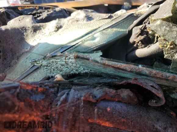 2020 Cadillac Escalade ESV Platinum with VIN 1GYS4KKJ6LR180920, listed as a Copart auction lot 45509335 with Not provided miles and Non repairable. Bid and sale history available at DreamBid. Image 9.