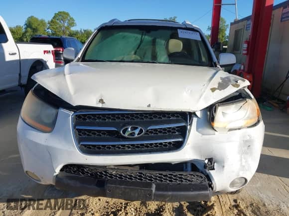 2009 Hyundai Santa Fe Limited с VIN 5NMSH13E19H242033, выставлен на аукционе IAAI как лот 43431377 с пробегом 195 082 миль миль и . История ставок и продаж доступна на DreamBid. Изображение 12.