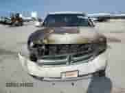 2011 Dodge Durango Express with VIN 1D4RD2GG6BC653351, listed as a Copart auction lot 59042975 with Not provided miles and Salvage title. Bid and sale history available at DreamBid. Image 5.