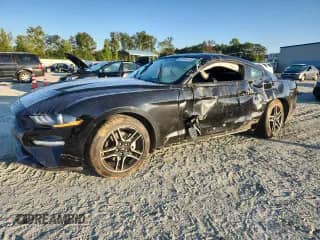 2019 Ford Mustang EcoBoost with VIN 1FA6P8THXK5197227, listed as a Copart auction lot 80188135 with 57,342 mi miles and Salvage title. Bid and sale history available at DreamBid. Image 1.
