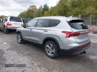 2023 Hyundai Santa Fe SEL с VIN 5NMS24AJ2PH510099, выставлен на аукционе IAAI как лот 43374398 с пробегом 30 391 миль миль и . История ставок и продаж доступна на DreamBid. Изображение 3.