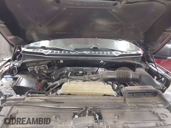 2019 Ford F-150 XL with VIN 1FTEW1CP7KKD46489, listed as a IAAI auction lot 43237393 with 25,356 mi miles and . Bid and sale history available at DreamBid. Image 10.