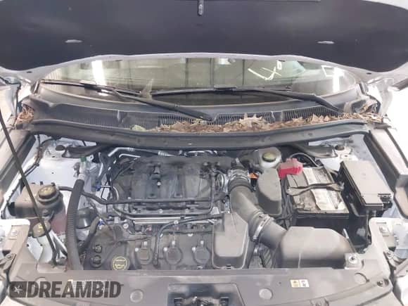 2018 Ford Explorer XLT с VIN 1FM5K7D89JGA54488, выставлен на аукционе IAAI как лот 42558280 с пробегом 56 106 миль миль и . История ставок и продаж доступна на DreamBid. Изображение 10.