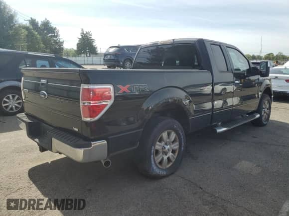 2010 Ford F-150 XL with VIN 1FTFX1EV3AFA10617, listed as a Copart auction lot 82409915 with 123,559 mi miles and Clean title. Bid and sale history available at DreamBid. Image 3.