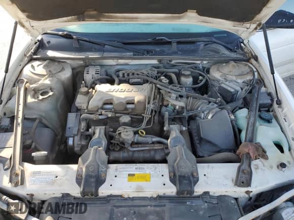 2001 Chevrolet Lumina с VIN 2G1WL52J111294494, выставлен на аукционе Copart как лот 51546475 с пробегом 153 401 миль миль и Списание • Salvage title. История ставок и продаж доступна на DreamBid. Изображение 11.