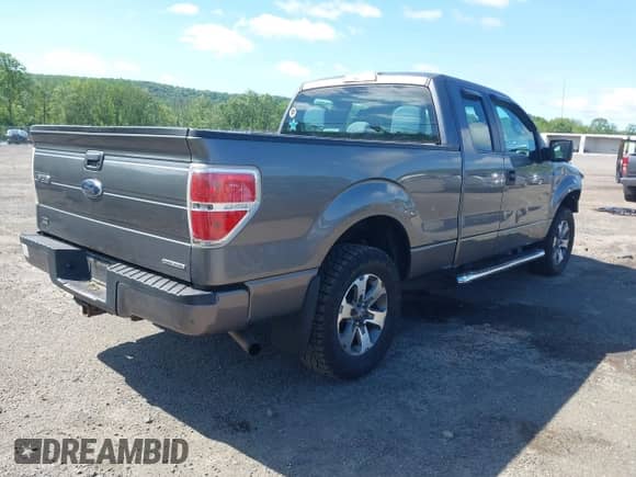 2013 Ford F-150 XL with VIN 1FTEX1EM9DFC99848, listed as a IAAI auction lot 42297022 with 175,466 mi miles and . Bid and sale history available at DreamBid. Image 4.