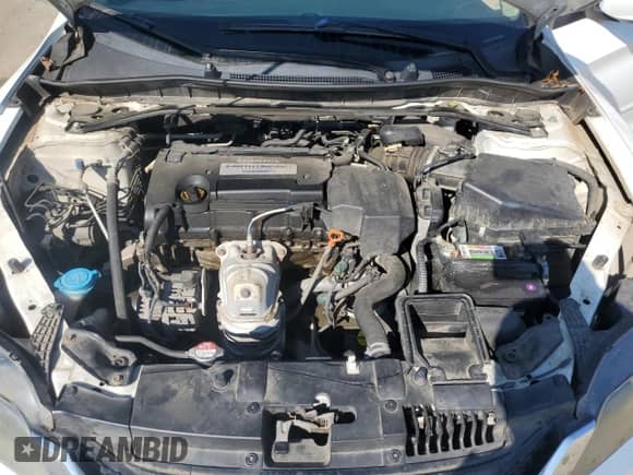 2013 Honda Accord LX-S with VIN 1HGCT1B36DA018215, listed as a Copart auction lot 81031745 with 208,923 mi miles and Clean title. Bid and sale history available at DreamBid. Image 11.