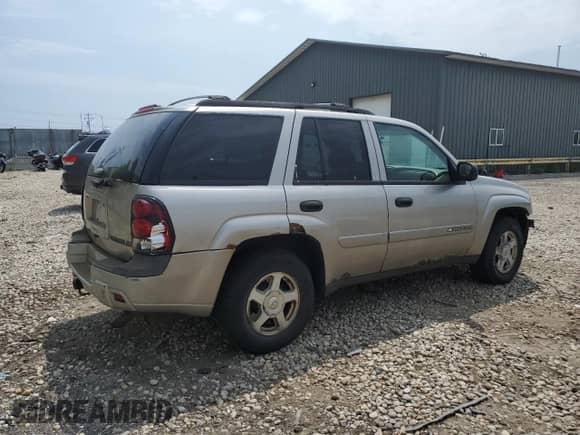 2002 Chevrolet TrailBlazer LS with VIN 1GNDT13S322185929, listed as a Copart auction lot 60020925 with 222,024 mi miles and Non repairable. Bid and sale history available at DreamBid. Image 3.