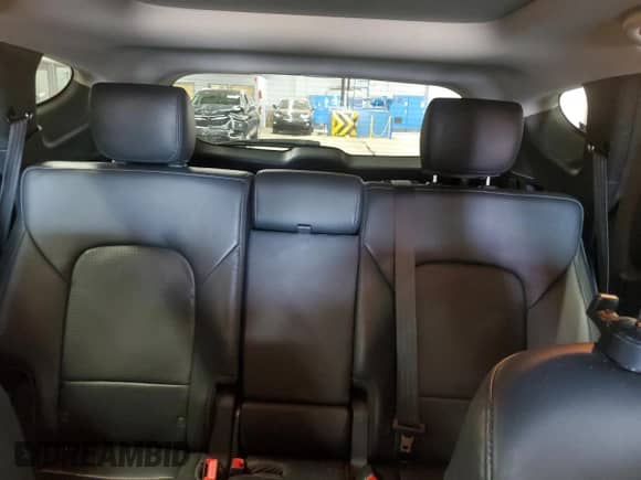 2016 Hyundai Santa Fe with VIN 5XYZW4LAXGG312798, listed as a Copart auction lot 61429815 with 86,932 mi miles and Salvage title. Bid and sale history available at DreamBid. Image 10.