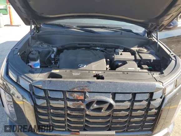 2024 Hyundai Palisade XRT with VIN KM8R3DGE5RU671771, listed as a Copart auction lot 62898925 with 23,956 mi miles and Salvage title. Bid and sale history available at DreamBid. Image 11.