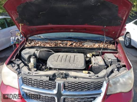 2011 Dodge Grand Caravan Mainstreet with VIN 2D4RN3DG4BR711004, listed as a IAAI auction lot 43235630 with 126,772 mi miles and . Bid and sale history available at DreamBid. Image 10.