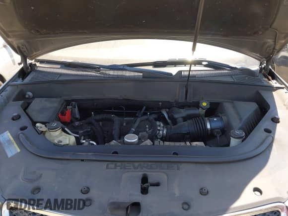 2009 Chevrolet Traverse 1LT with VIN 1GNEV23D89S104570, listed as a IAAI auction lot 42827548 with 177,801 mi miles and . Bid and sale history available at DreamBid. Image 10.