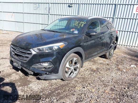 2017 Hyundai Tucson Eco с VIN KM8J3CA21HU276099, выставлен на аукционе IAAI как лот 41395961 с пробегом 153 442 миль миль и . История ставок и продаж доступна на DreamBid. Изображение 2.