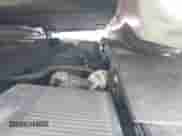 2011 Chevrolet Silverado 1500 LT с VIN 3GCPCSE01BG125517, выставлен на аукционе IAAI как лот 43245098 с пробегом 314 152 миль миль и . История ставок и продаж доступна на DreamBid. Изображение 10.