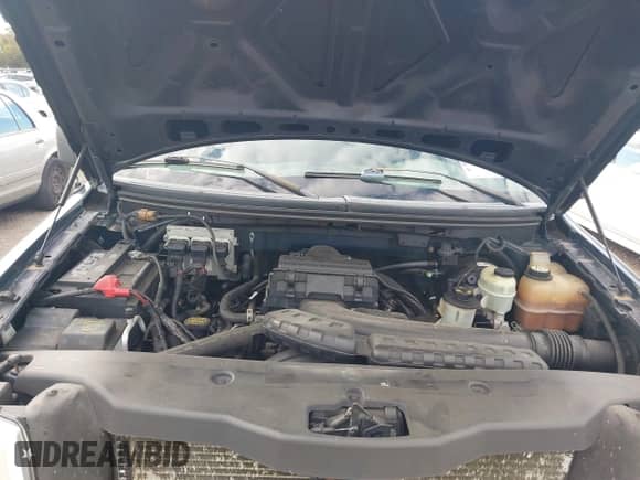 2005 Ford F-150 XLT z VIN 1FTPW12515FB74112, wystawiony jako IAAI lot #43513413 z przebiegiem 289 888 mil mil oraz . Historia ofert i sprzedaży dostępna na DreamBid. Obrazek 10.