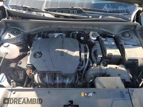 2025 Kia Sorento LX with VIN 5XYRG4JC8SG314169, listed as a Copart auction lot 70184635 with 13,356 mi miles and Salvage title. Bid and sale history available at DreamBid. Image 12.