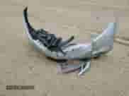 2011 Nissan Murano SV z VIN JN8AZ1MU8BW061419, wystawiony jako Copart lot #54622505 z przebiegiem 139 764 mil mil oraz Szkoda całkowita • Salvage title. Historia ofert i sprzedaży dostępna na DreamBid. Obrazek 13.