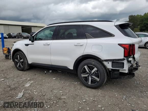 2021 Kia Sorento S with VIN 5XYRL4LC0MG054894, listed as a Copart auction lot 83925645 with 43,016 mi miles and Clean title. Bid and sale history available at DreamBid. Image 2.
