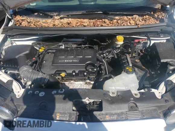 2014 Chevrolet Sonic LTZ with VIN 1G1JE5SB7E4202652, listed as a Copart auction lot 48540805 with 128,328 mi miles and Salvage title. Bid and sale history available at DreamBid. Image 11.