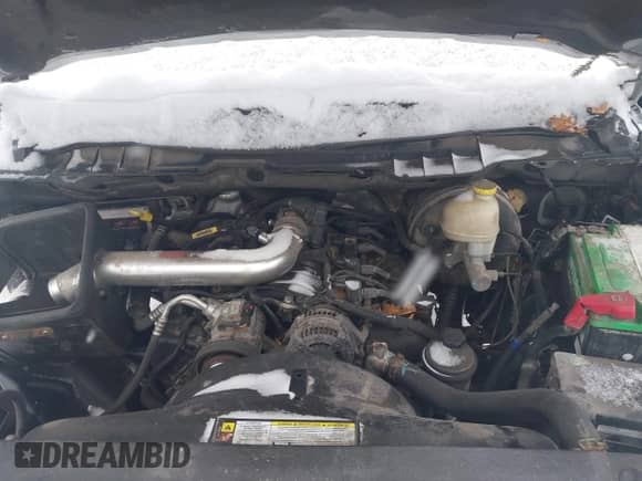 2009 Dodge 1500 SLT with VIN 1D3HV18P49S784882, listed as a IAAI auction lot 41220334 with 209,456 mi miles and . Bid and sale history available at DreamBid. Image 10.