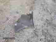 2011 Chevrolet Aveo 2LT with VIN KL1TG5DE4BB122662, listed as a Copart auction lot 79137604 with Not provided miles and Salvage title. Bid and sale history available at DreamBid. Image 12.