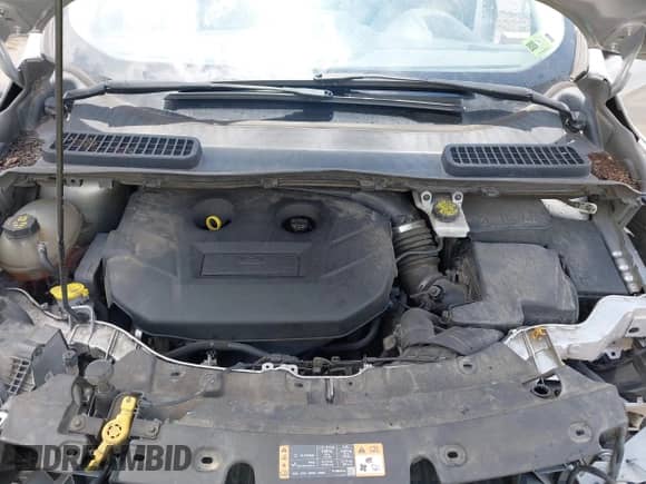 2017 Ford Escape SE с VIN 1FMCU9G98HUE25329, выставлен на аукционе IAAI как лот 42496618 с пробегом 149 370 миль миль и . История ставок и продаж доступна на DreamBid. Изображение 10.