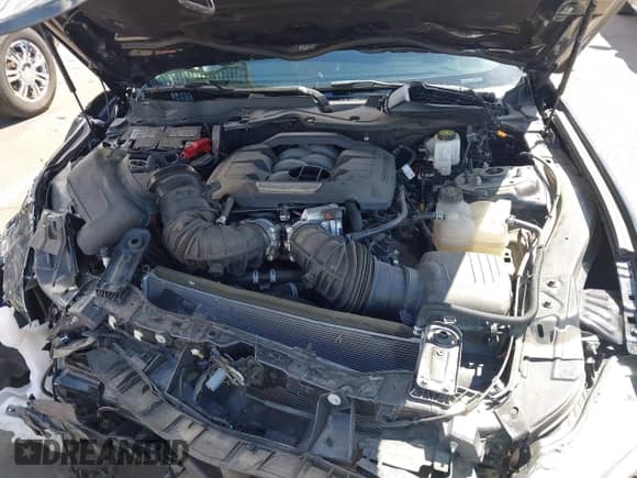 2024 Ford Mustang GT z VIN 1FA6P8CF5R5416913, wystawiony jako IAAI lot #43220874 z przebiegiem 17 659 mil mil oraz . Historia ofert i sprzedaży dostępna na DreamBid. Obrazek 10.