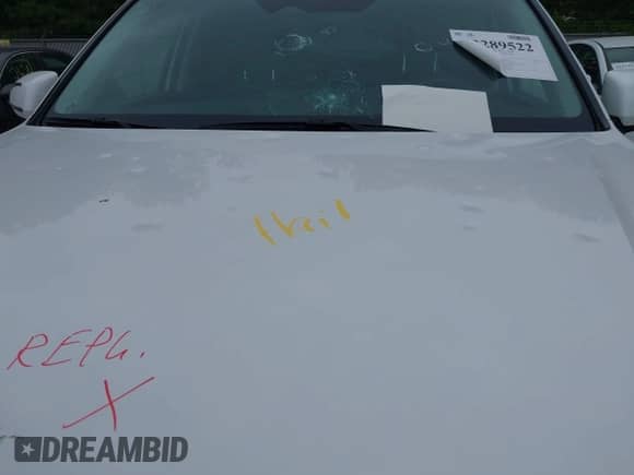 2024 Hyundai Palisade XRT with VIN KM8R3DGE3RU671302, listed as a IAAI auction lot 42289522 with 30,172 mi miles and . Bid and sale history available at DreamBid. Image 6.