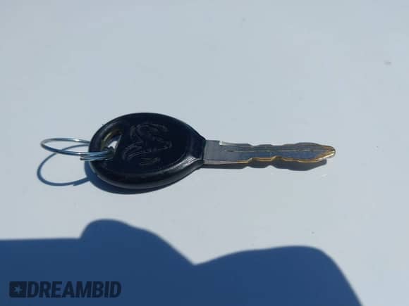 2003 Dodge 1500 ST z VIN 1D7HA18NX3J643983, wystawiony jako IAAI lot #42724762 z przebiegiem 175 450 mil mil oraz . Historia ofert i sprzedaży dostępna na DreamBid. Obrazek 11.