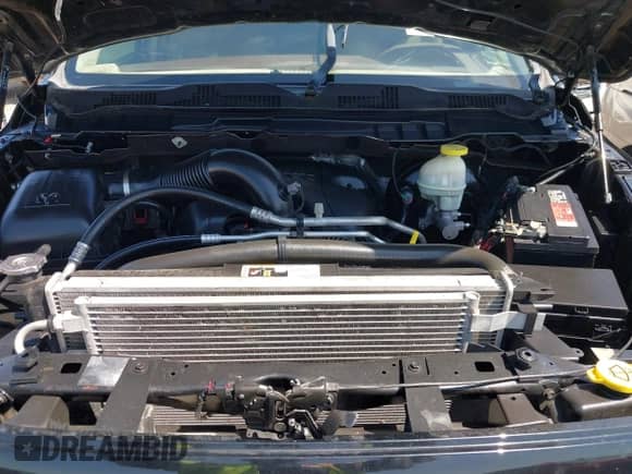 2017 Ram 1500 Big Horn z VIN 1C6RR7LTXHS803465, wystawiony jako IAAI lot #41867619 z przebiegiem 155 078 mil mil oraz . Historia ofert i sprzedaży dostępna na DreamBid. Obrazek 10.