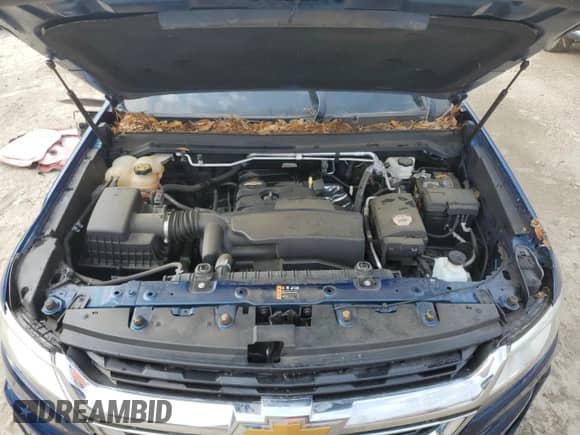2019 Chevrolet Colorado 2WD LT with VIN 1GCHSCEA3K1132389, listed as a Copart auction lot 54130695 with 21,039 mi miles and Non repairable. Bid and sale history available at DreamBid. Image 11.