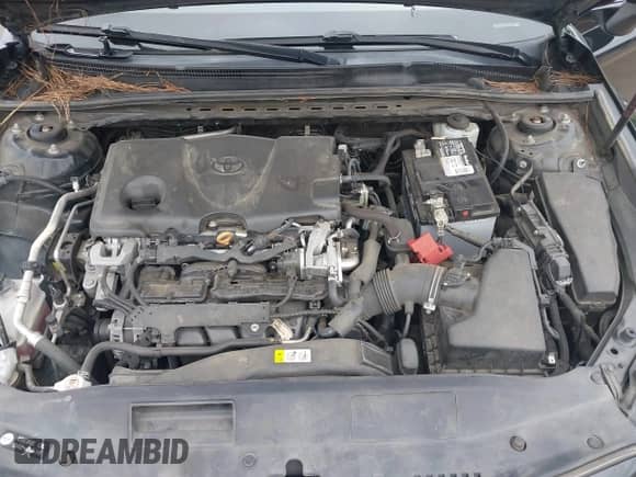 2019 Toyota Camry LE с VIN 4T1B11HK1KU798467, выставлен на аукционе IAAI как лот 43063170 с пробегом 244 656 миль миль и . История ставок и продаж доступна на DreamBid. Изображение 10.