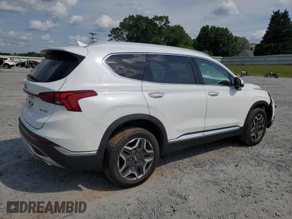 2021 Hyundai Santa Fe Limited with VIN 5NMS4DAL9MH339889, listed as a Copart auction lot 55283765 with 40,173 mi miles and Salvage title. Bid and sale history available at DreamBid. Image 3.