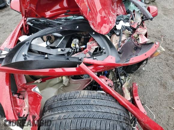 2022 Tesla Model Y Performance with VIN 7SAYGDEF2NF398505, listed as a Copart auction lot 81005925 with Not provided miles and Salvage title. Bid and sale history available at DreamBid. Image 11.