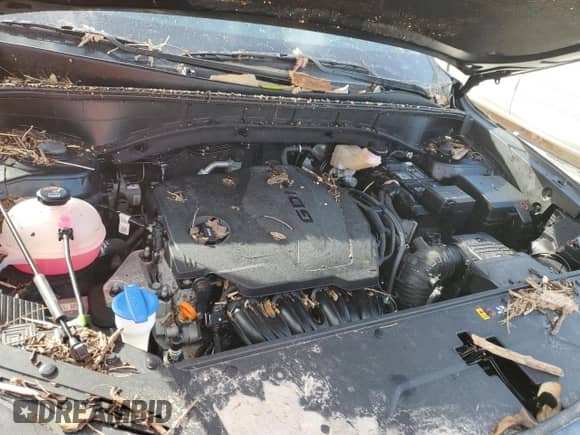 2022 Kia Sorento X-Line S z VIN 5XYRLDLC2NG161947, wystawiony jako Copart lot #75103874 z przebiegiem Nie podano mil oraz Szkoda całkowita • Salvage title. Historia ofert i sprzedaży dostępna na DreamBid. Obrazek 11.