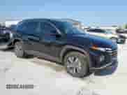 2024 Hyundai Tucson Blue с VIN KM8JBCD12RU211981, выставлен на аукционе Copart как лот 67966165 с пробегом 11 427 миль миль и Чистый • Clean title. История ставок и продаж доступна на DreamBid. Изображение 4.