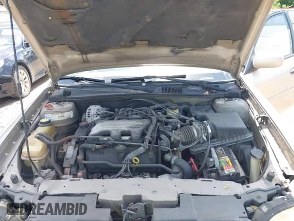 1998 Chevrolet Malibu LS с VIN 1G1NE52M1W6209296, выставлен на аукционе IAAI как лот 42531622 с пробегом 179 094 миль миль и . История ставок и продаж доступна на DreamBid. Изображение 10.