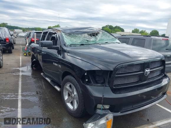 2010 Dodge 1500 SLT z VIN 1D7RB1GT0AS202503, wystawiony jako IAAI lot #42284772 z przebiegiem 193 206 mil mil oraz . Historia ofert i sprzedaży dostępna na DreamBid. Obrazek 1.