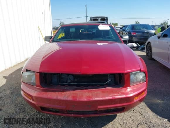 2006 Ford Mustang Standard с VIN 1ZVHT84N865152194, выставлен на аукционе IAAI как лот 42747514 с пробегом 154 754 миль миль и . История ставок и продаж доступна на DreamBid. Изображение 12.