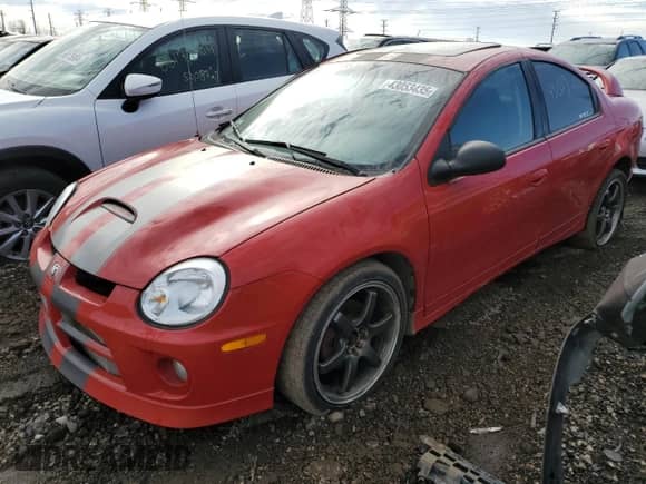 2005 Dodge Neon SRT-4 with VIN 1B3ES66S05D259861, listed as a Copart auction lot 43053435 with 57,141 mi miles and Salvage title. Bid and sale history available at DreamBid. Image 1.