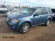 2011 Ford Escape XLT with VIN 1FMCU9D77BKA67338, listed as a IAAI auction lot 43552438 with 61,303 mi miles and . Bid and sale history available at DreamBid. Image 2.