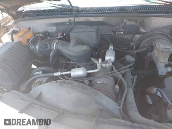 1999 Chevrolet Silverado 1500 with VIN 1GCEC19M5XR124635, listed as a IAAI auction lot 42053209 with 256,735 mi miles and . Bid and sale history available at DreamBid. Image 10.