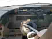 2011 Chevrolet Avalanche LT с VIN 3GNTKFE30BG108816, выставлен на аукционе Copart как лот 71728935 с пробегом Не указан миль и Списание • Salvage title. История ставок и продаж доступна на DreamBid. Изображение 9.