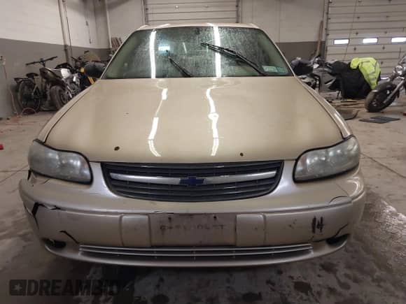 2005 Chevrolet Malibu Classic z VIN 1G1ND52F25M126197, wystawiony jako IAAI lot #41635127 z przebiegiem 218 168 mil mil oraz . Historia ofert i sprzedaży dostępna na DreamBid. Obrazek 13.