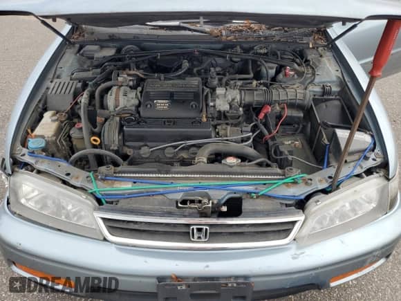 1995 Honda Accord with VIN 1HGCE6660SA003024, listed as a Copart auction lot 66928635 with 95,299 mi miles and Salvage title. Bid and sale history available at DreamBid. Image 11.