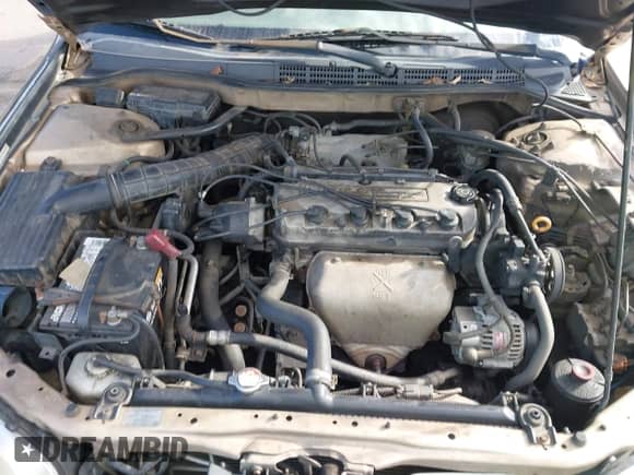 2002 Honda Accord SE with VIN 1HGCG66882A006393, listed as a IAAI auction lot 43458349 with 307,701 mi miles and . Bid and sale history available at DreamBid. Image 10.